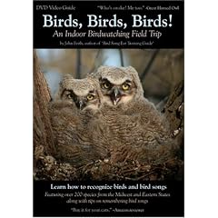 Birds, Birds, Birds! An Indoor Birdwatching Field Trip DVD Video Bird and Bird Song Guide