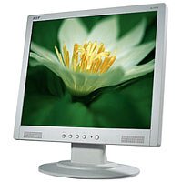 Acer AL1914MS 19 Zoll TFT Monitor silber/schwarz (Kontrast 500:1, 12 ms Reaktionszeit)