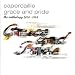 Grace and Pride - The Anthology 2004 - 1984 (disc 1)