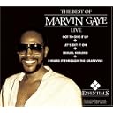 CD Cover Art