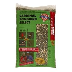 Stokes Select STK5137-14 Cardinal Songbird Select (14 lbs)