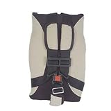 Safety 1st Tote N Go DX Portable Car Seat