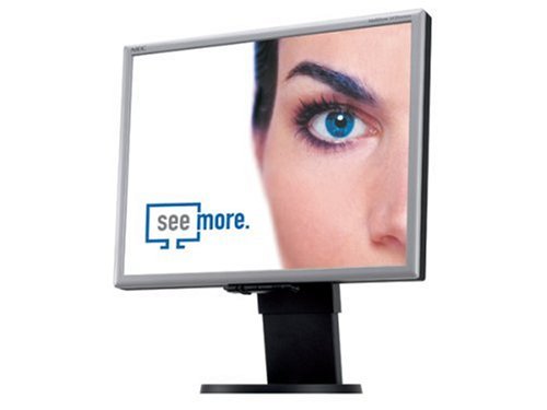 Notebooks: NEC LCD-2070NX-BK 20 Zoll TFT Monitor silber/schwarz DVI