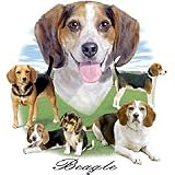 Beagle Adult Sweatshirt