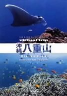 virtual trip 沖縄八重山 Diving View