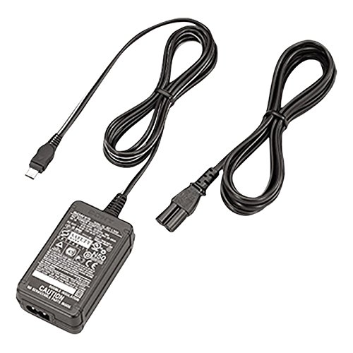 Festplatten: Sony AC-L 100 Ladeger�t f�r Camcorder mit Akkus der M- und L-Serie