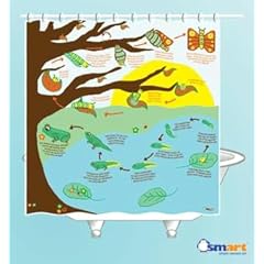 Metamorphosis Shower Curtain - EVA vinyl