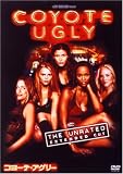 ���衼�ơ������꡼ �����Խ���