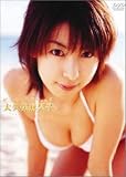 Beach Angels �ӡ������󥸥��륺 ����������� in �ϥ磻