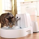 Drinkwell Fresh Water Fountain (6 cup Capacity)