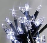 Christmas Decorated Silver tree White Premier 80 Multiaction LED Superbrights White Lights