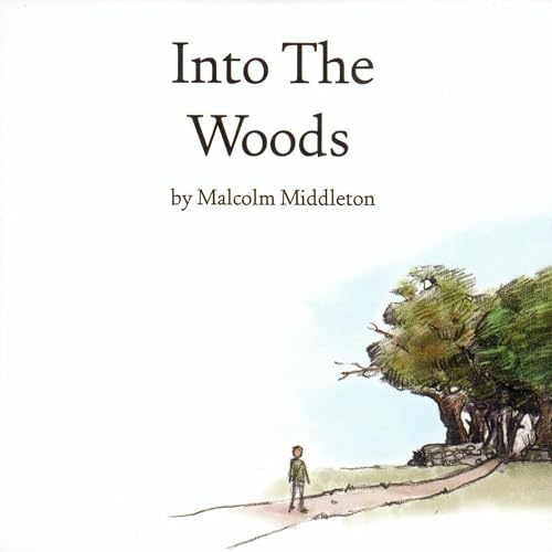 Into the Woods by Malcolm Middleton album cover