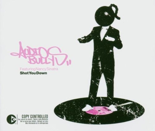 Audio Bullys - Shot You Down (Radio Edit) Lyrics - Zortam Music