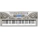 Casio CTK900 61 Full-Size Key MIDI Keyboard