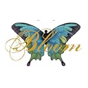 CD Cover Art