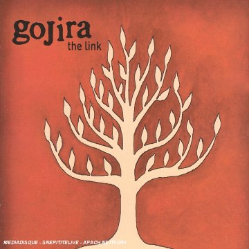 The Link