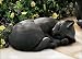 Sleeping Garden Cat