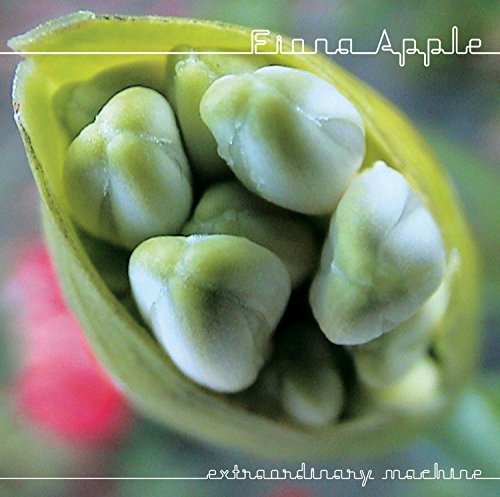 Extraordinary Machine by Fiona Apple album cover