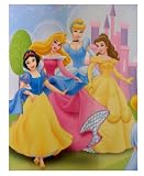 Disney Princess Fleece Blanket : 50"x60" Cinderella