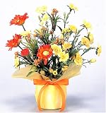 ���̊y�� ���G�}���L�O���[�� <�t�����[�V���[�Y> �t�����`�K�[�x��