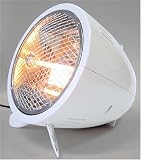 EUPA �ϥ�����ե���ҡ����� �ۥ磻�� 450W TSK-5317D