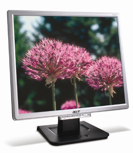 Elektronik und Foto: Acer AL1916S 19 Zoll TFT Monitor silber 12 Ms Reaktionszeit