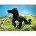  - Folkmanis Puppets Black Horse Puppet Plush Toy