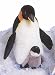 Plush Emperor Penguin with Baby 13
