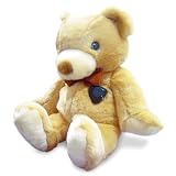 SVAT UC1300 Wireless Color Camera with 8 IR LEDs hidden in a Teddy Bear