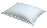 National Sleep Product Natural Down Gusset Pillow, Standard