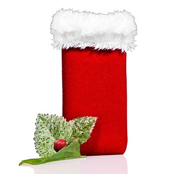 MP3 Player: Marware SportSuit™ Santa f�r iPod nano