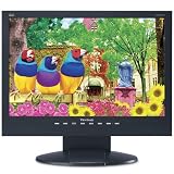 ViewSonic VA1912WB 19" Widescreen LCD Monitor (Black)