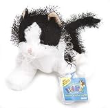 cover of Webkinz Black and White Cat