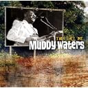 CD Cover Art