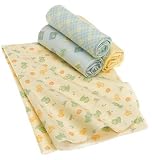 Froggy Tales 4 Pack Flannel Blanket