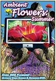 Ambient Flowers: Ultimate Video Garden & Reference DVD