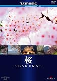 ���`SAKURA�` V-music01