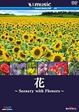 �ԁ`Scenery with Floews�` V-music03�@