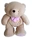 Forever Friends Cuddle Bear 26cm Pink FV021348 Rainbow Designs