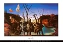 Swans Reflecting Elephants, c.1937 Fine Art Poster Print by Salvador Dali, 36x24