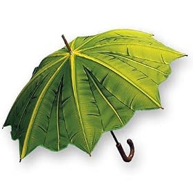 Amazon.com: Adult Green Palm Leaf Stick Umbrella: Apparel from amazon.com