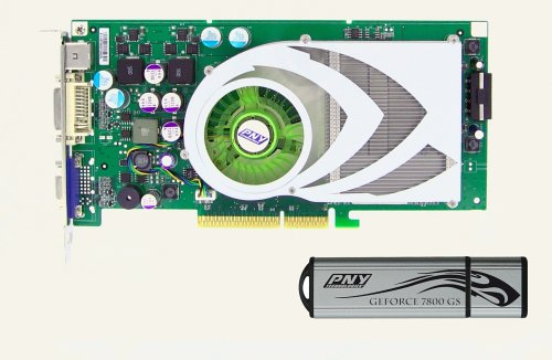 Projektoren: PNY NVidia Geforce 7 7800 GS Grafikkarte AGP + USB Stick 128 MB (256MB DDR3 Ram, TV-Out, DVI)