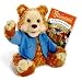 Playskool T.J. Bearytales Animated Plush Bear