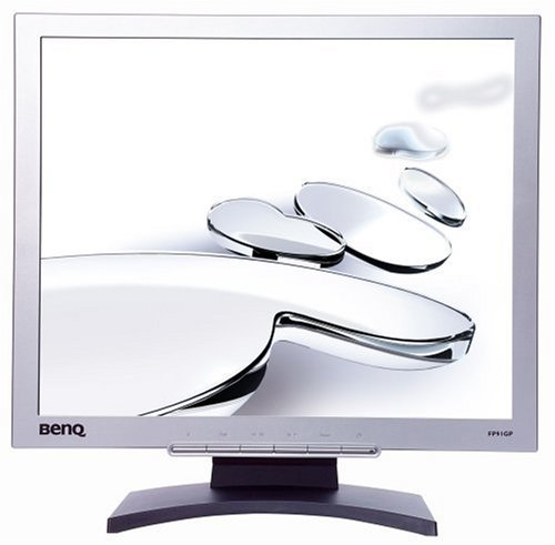 Kamerazubehoer: Benq FP91GP 19 Zoll TFT Monitor silber/schwarz (Kontrast 1000:1, 8 Ms Reaktionszeit)
