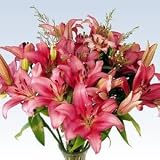 Pink Lilies