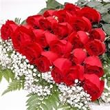 Two Dozen Long Stemmed Premium Red Roses