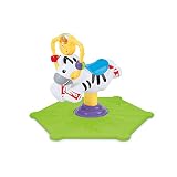 Fisher Price Bounce & Spin Zebra