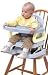 Booster to Toddler Seat