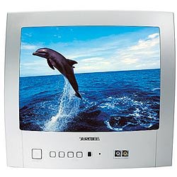 Portable LCD TVs - Toshiba 14N51B 14 Portable TV