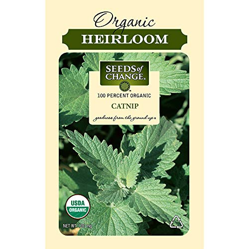 Mario Vazquez - Gallery - Zortam Music